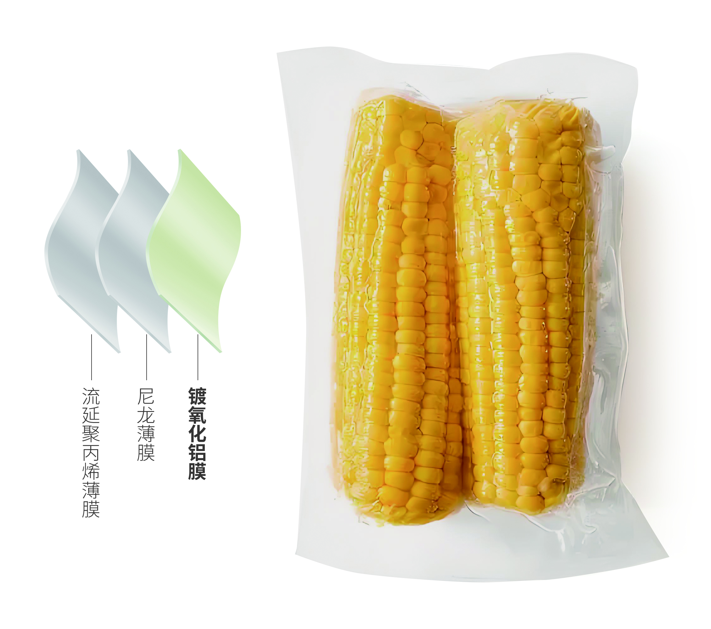 玉米